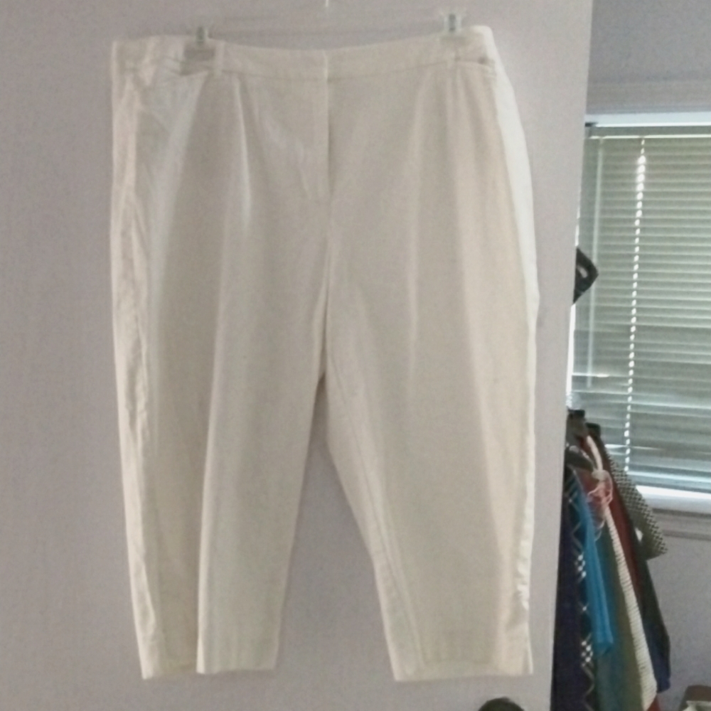 TALBOTS pants